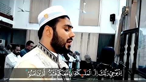 سورة الأنفال بصوت نور الدين سليم