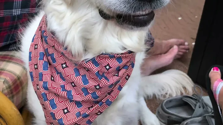 Daisy Mae 2015-2022