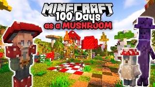 I Spent 100 Days Building a Cozy Mushroom Island in Minecraft