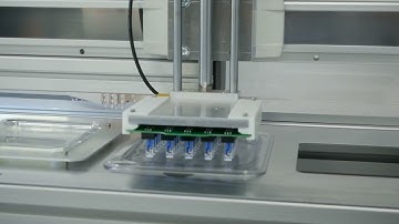 Modifying screen printed electrodes