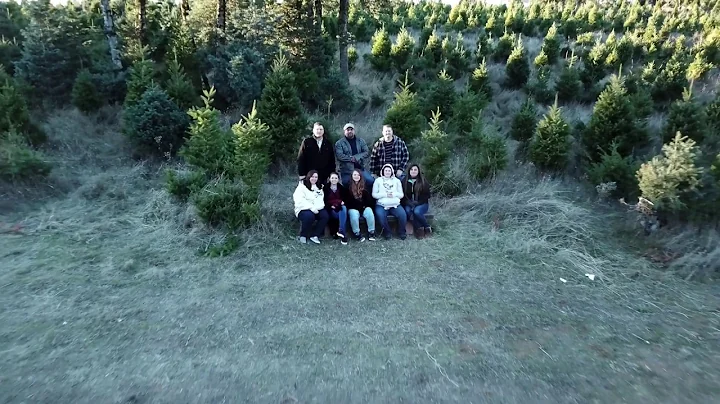 Godchaux/Haines/...  Tree Hunt