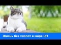 ITEA EVENT. Жизнь без хлопот в мире IoT