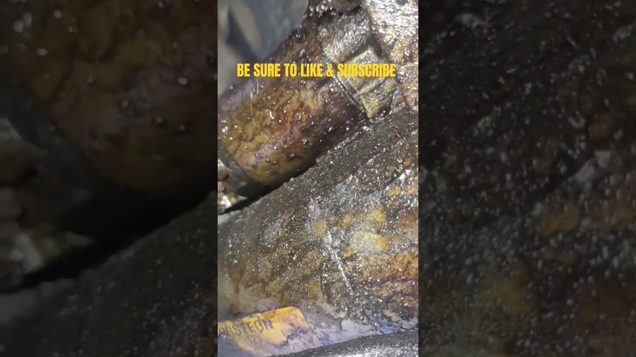 Oil soaked starter having trouble turning the engine over. 