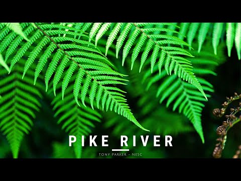Pike River - Music by - Tony Parker NESC New Zealand