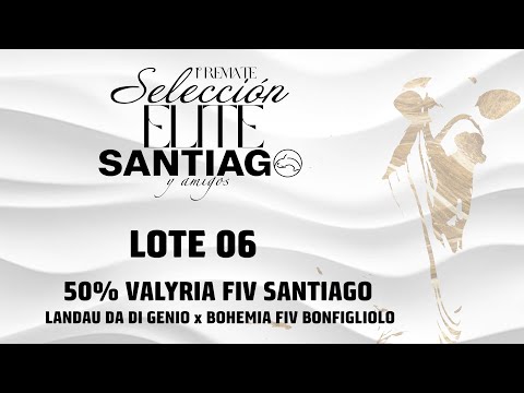 Lote 06   Valyria FIV Santiago