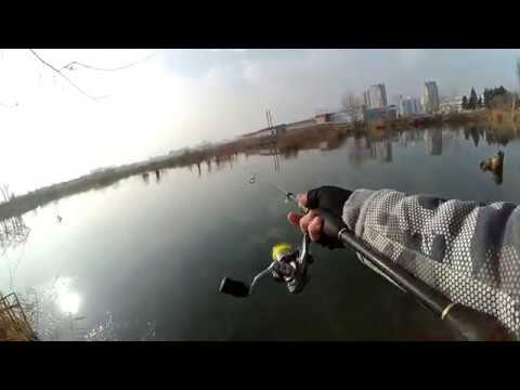 თევზაობა დიღმის ტბებზე