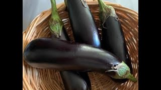 Bembeyaz Köz Patlıcan 🍆 doğru patlıcan közleme nasıl olur?