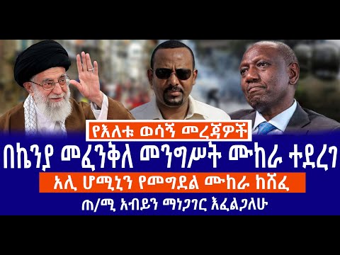 በኬንያ መፈንቅለ መንግሥት ሙከራ ተደረገ አሊ ሆሚኒን የመግደል ሙከራ ከሸፈ ጠ ሚ አብይን ማነጋገር እፈልጋለሁ