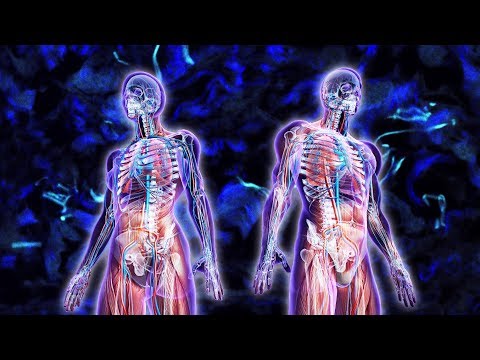 Vídeo: Los Investigadores Han Encontrado Un Nuevo órgano En El Cuerpo Humano - Vista Alternativa