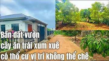 Chưa tới 2tỷ sở hữu được mảnh đất vườn cây ăn trái xum xuê có thổ cư góc 2 mặt tiền Ở BR-VT