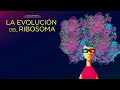 La evolución del ribosoma | Los viernes de la evolución