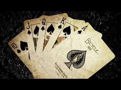 دمبوره جدید تغه شیخعلی شکیب عزیزی و صوفی شاهین 