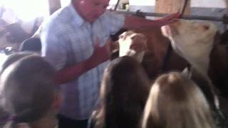Besuch Bauernhof 8