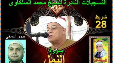 الشيخ محمد السلكاوى سورة النمل