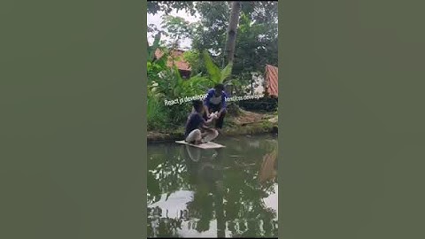 Hilarious Coding Memes That Every Programmer Will Relate To! #coding #webdevsimplified #webdesign