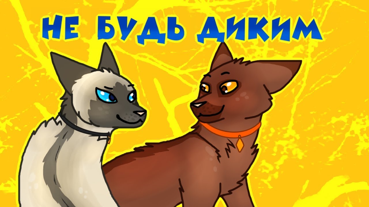 Catwar генератор имен