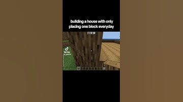building a house with only placing one block everyday (day 119) #oneblockaday