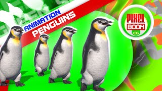 Green Screen Group of Penguins 3D Animation PixelBoomCG screenshot 5