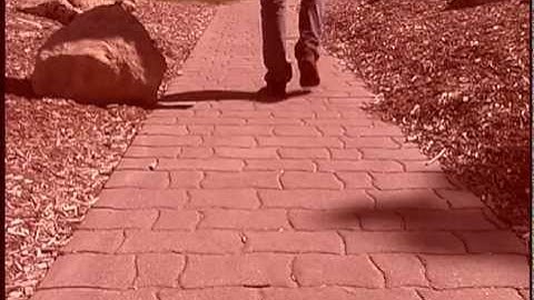 The Black Brigade Music Video