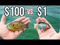 CHEAP vs EXPENSIVE Swimbait Fishing CHALLENGE!!!!