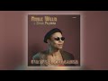 Nicole Willis - Free (Instrumental) [feat. Banda Palomita]