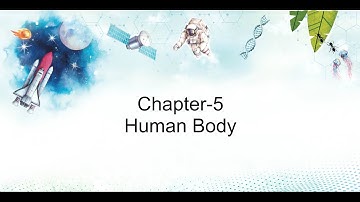 SCIENCE OUTLOOK 3: Chapter 5 - Human Body