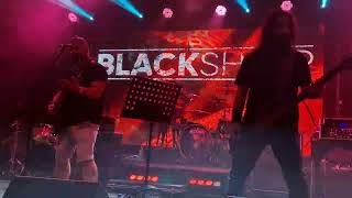 Blacksheep - Freefall