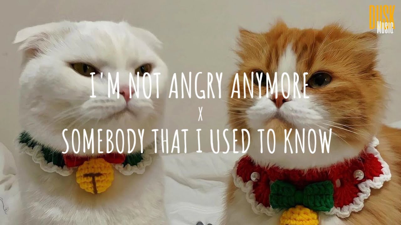 I M not Angry anymore. I am not angry anymore