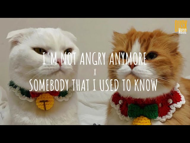 I'm Not Angry Anymore X Somebody That I Used To Know (Vietsub + Lyric) | Tik Tok Song class=