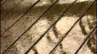 Watch Kenny Wayne Shepherd Everytime It Rains video