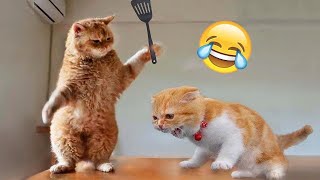 You Laugh You Lose 🤣 - Funniest Dogs and Cats 2023 😺🐶 #57