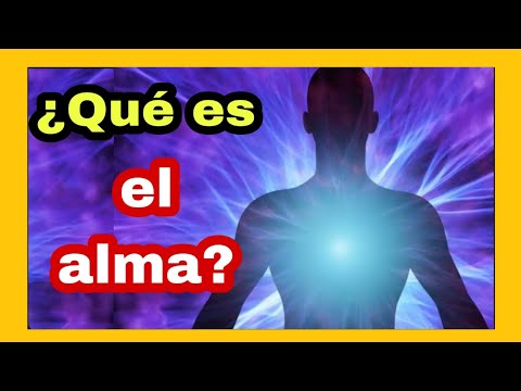 Aristóteles Y El