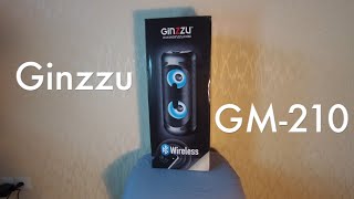 Обзор на колонку Ginzzu-GM210