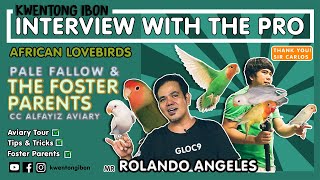 PALE FALLOW & THE FOSTER PARENTS | AVIARY TOUR WITH ROLANDO ANGELES | PARAAN SA PAG PAPARAMI NG IBON