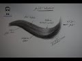 كورس تعلم رسم الشعر بالرصاص للمبتدئين