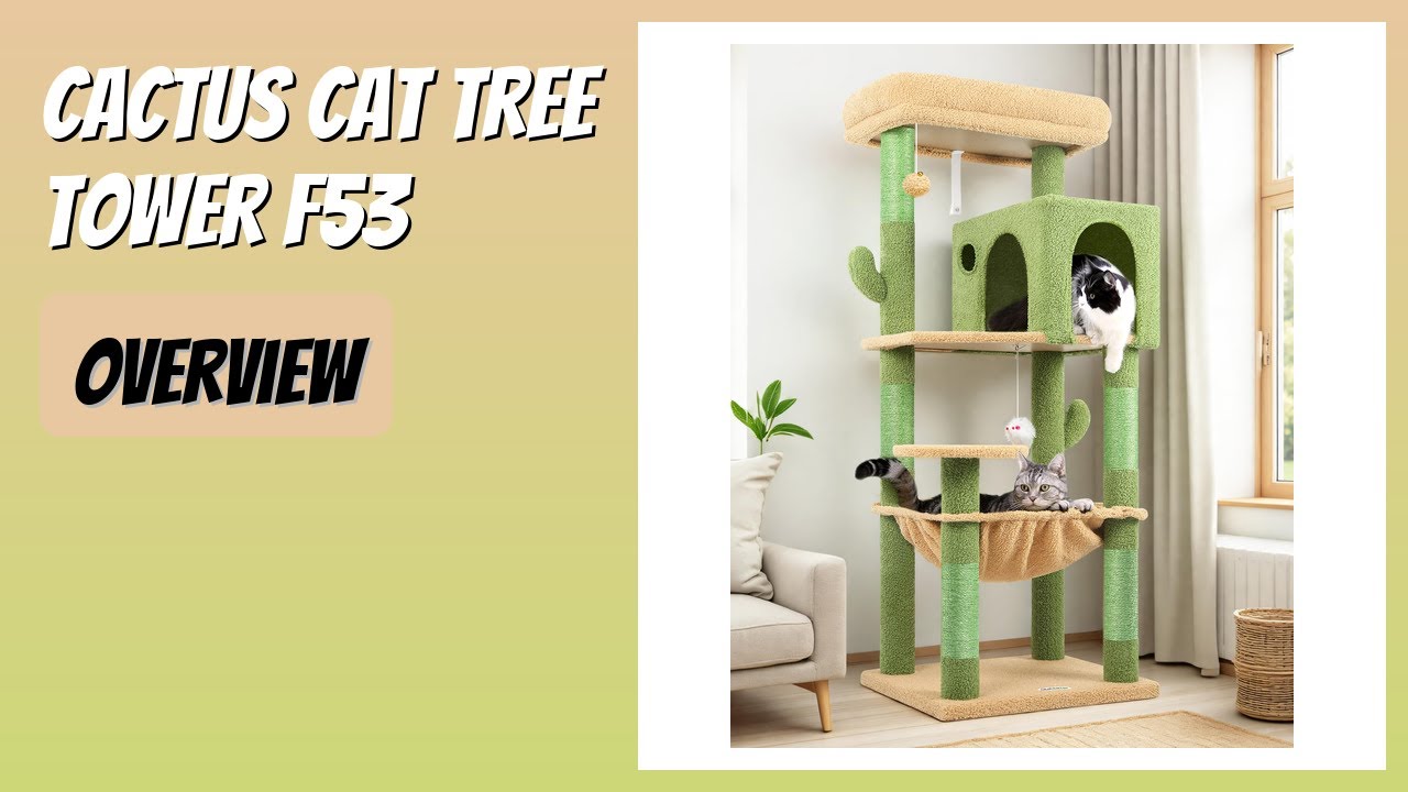 REVIEW (2026): Cactus Cat Tree Tower F53. Features