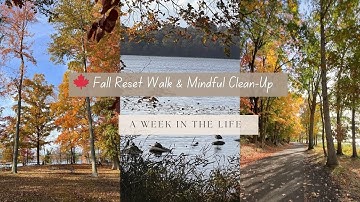 Digital Declutter Before the New Year 🍁 | Fall Reset Walk & Mindful Clean-Up