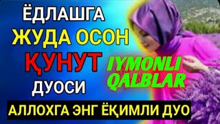 Кунут дуоси Оллохга энг ёкимли дуо. #Кунут дуоси#qunut duosi