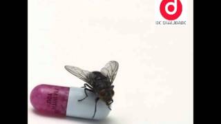 Ethiopia - Red Hot Chili Peppers