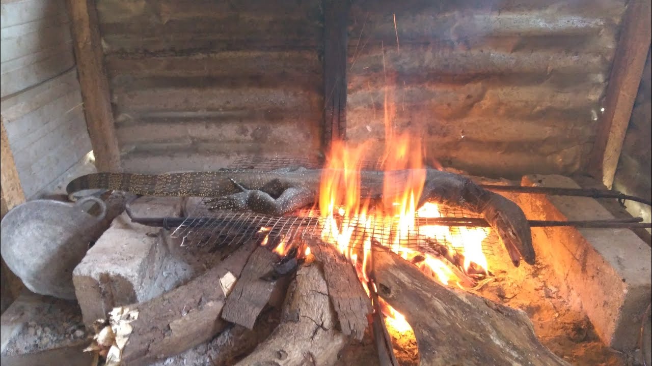 Preparing Monitor Lizard Meat Masak Biawak Daging After Roasting On preparing-monitor-lizard-meat-masak-biawak-daging-after-roasting-on