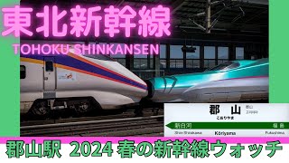 【東北新幹線】発車メロディーはあの曲郡山駅 2024年GWの新幹線ウォッチング