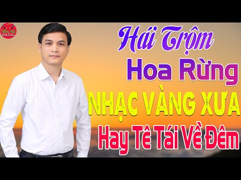 HÁI TRỘM HOA RỪNG LƯƠNG GIA TIẾN 300 BÀI NHẠC VÀNG XƯA HẢI NGOẠI HAY BẤT HỦ TÊ TÁI LÚC VỀ ĐÊM  HÁI TRỘM HOA RỪNG LƯƠNG GIA TIẾN 300 BÀI NHẠC VÀNG XƯA HẢI NGOẠI HAY BẤT HỦ TÊ TÁI LÚC VỀ ĐÊM