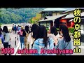 2020年10月23日(金)秋の京都嵐山！Kyoto Arashiyama in autumn！