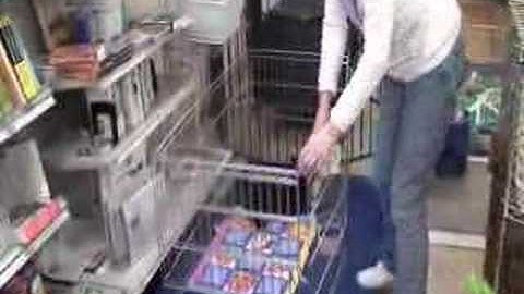 Handling your bunny (part 2 of 2)