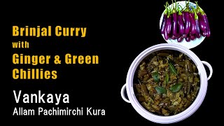 Vankaya Allam Pachimirchi Kura | Brinjal Curry with Ginger and Green Chillies