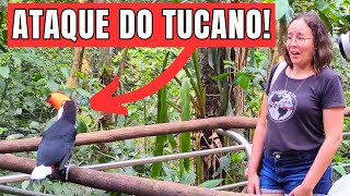 PARQUE DAS AVES FOZ DO IGUAÇU - VALE A PENA CONHECER? | Viajando de Vw #ep396