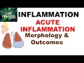 INFLAMMATION Part7: MORPHOLOGY & OUTCOMES of Acute Inflammation