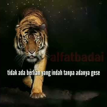 Status Wa Jawa