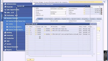 The 360 degree view of a customer using SAP Business One