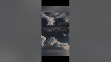تلاوة طيبة مباركة بصوت طفل ماشاء الله بارك الله فيه اللهم صل وسلم وبارك على نبينا محمدوعلى آله وسلم🤲